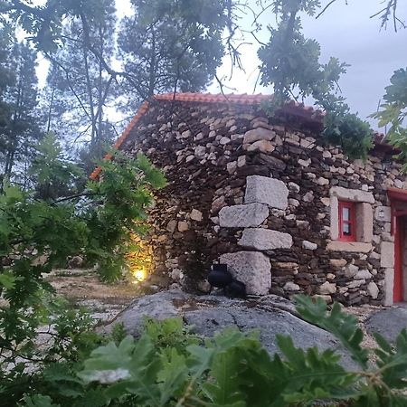 Sendim  Casa Do Feitor - Douro - Quinta Da Cabridaヴィラ エクステリア 写真