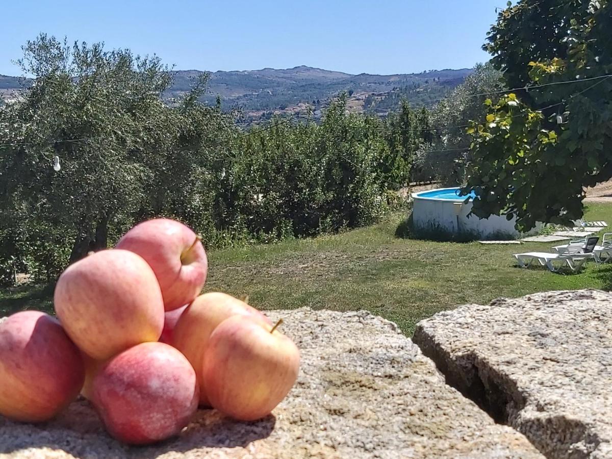 Sendim  Casa Do Feitor - Douro - Quinta Da Cabridaヴィラ エクステリア 写真