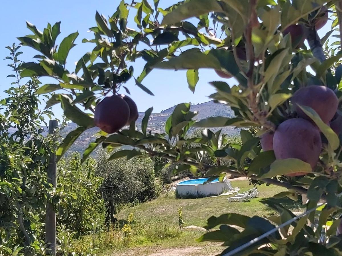 Sendim  Casa Do Feitor - Douro - Quinta Da Cabridaヴィラ エクステリア 写真
