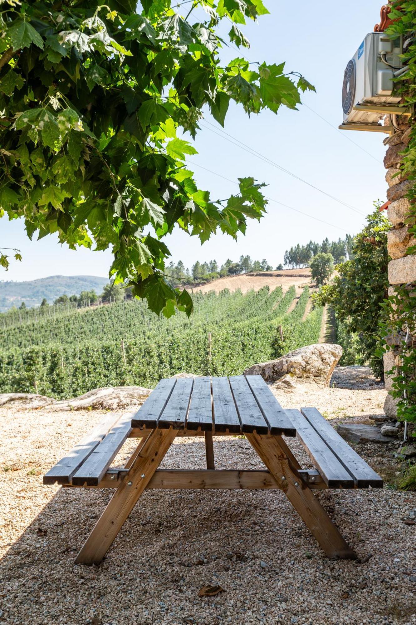 Sendim  Casa Do Feitor - Douro - Quinta Da Cabridaヴィラ エクステリア 写真