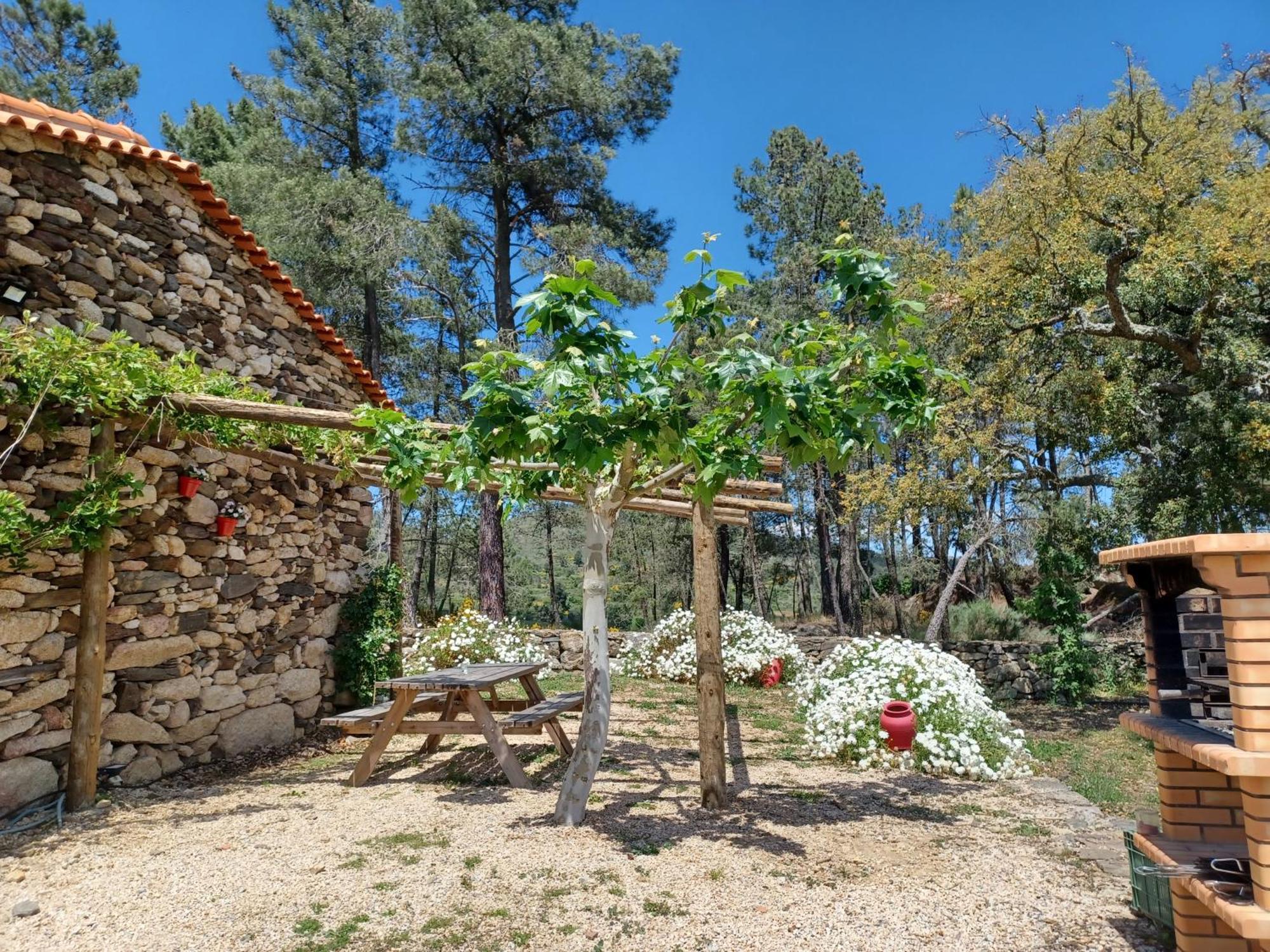 Sendim  Casa Do Feitor - Douro - Quinta Da Cabridaヴィラ エクステリア 写真