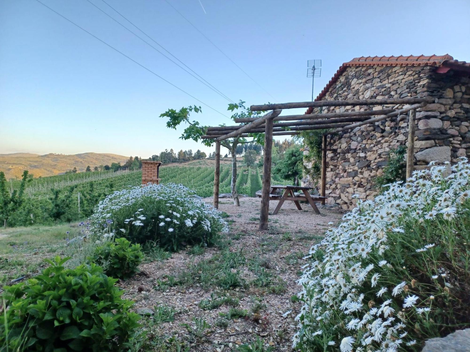 Sendim  Casa Do Feitor - Douro - Quinta Da Cabridaヴィラ エクステリア 写真