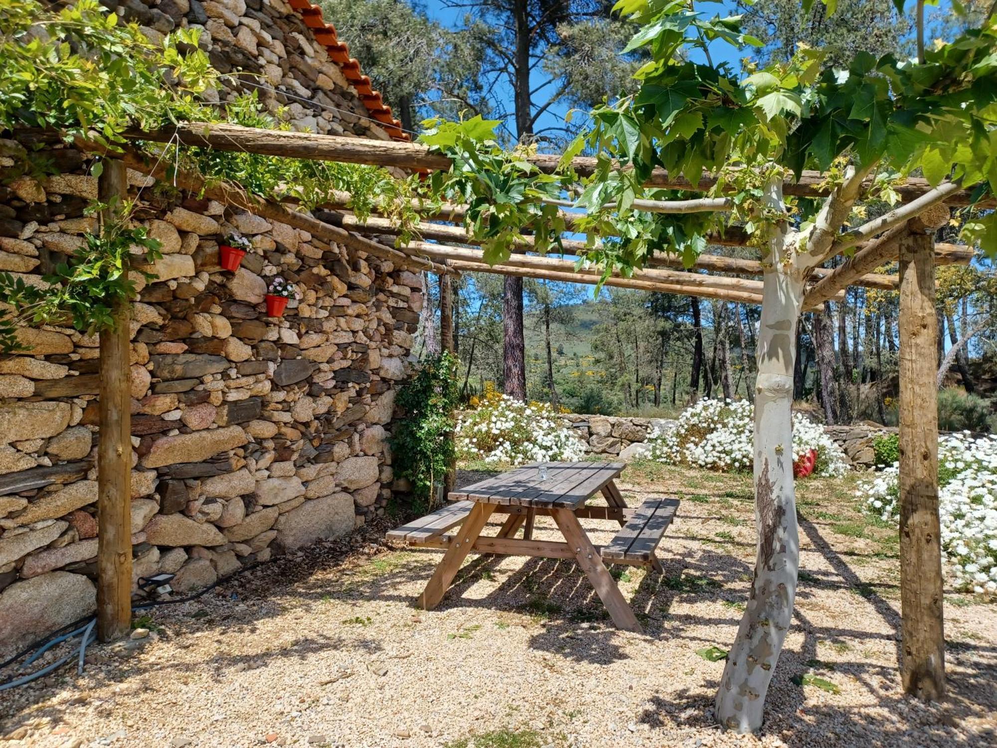 Sendim  Casa Do Feitor - Douro - Quinta Da Cabridaヴィラ エクステリア 写真