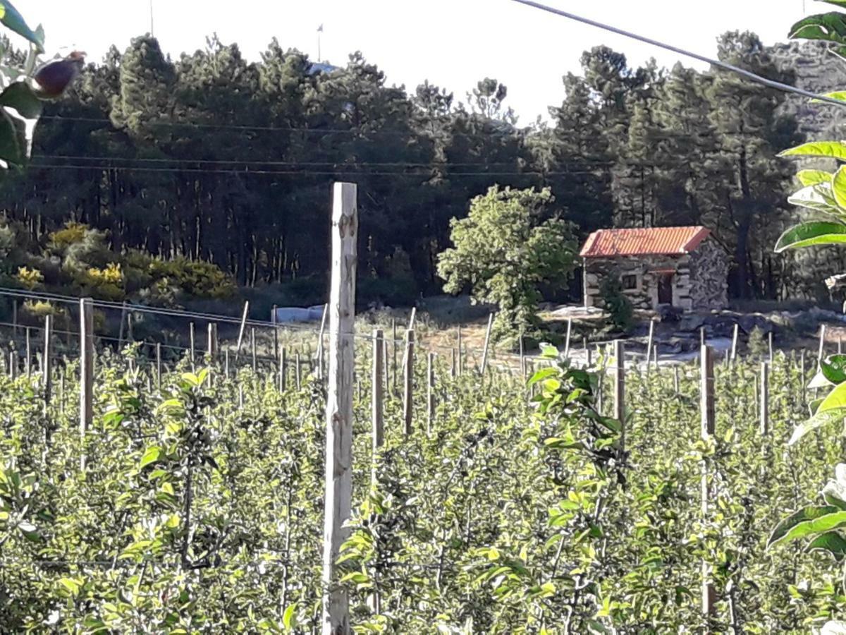 Sendim  Casa Do Feitor - Douro - Quinta Da Cabridaヴィラ エクステリア 写真