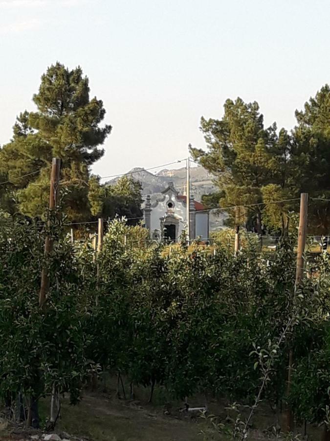 Sendim  Casa Do Feitor - Douro - Quinta Da Cabridaヴィラ エクステリア 写真