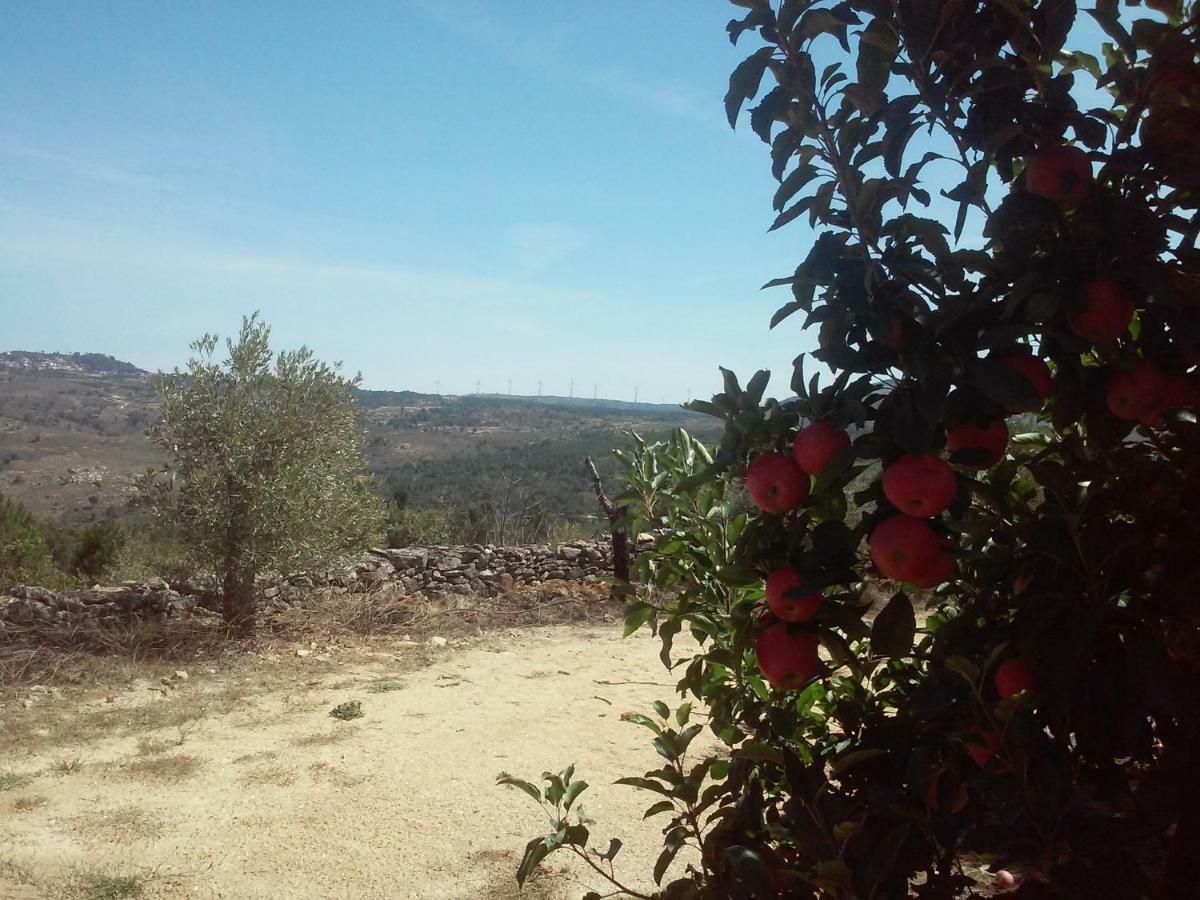 Sendim  Casa Do Feitor - Douro - Quinta Da Cabridaヴィラ エクステリア 写真