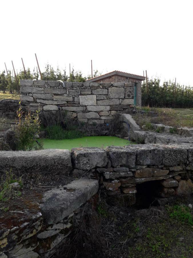 Sendim  Casa Do Feitor - Douro - Quinta Da Cabridaヴィラ エクステリア 写真