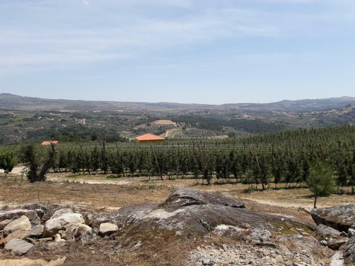 Sendim  Casa Do Feitor - Douro - Quinta Da Cabridaヴィラ エクステリア 写真