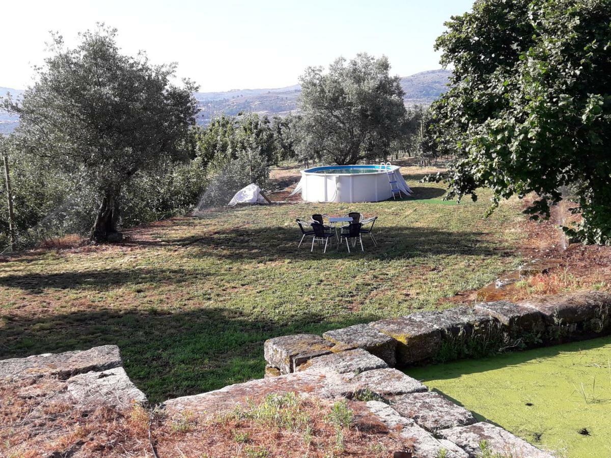 Sendim  Casa Do Feitor - Douro - Quinta Da Cabridaヴィラ エクステリア 写真
