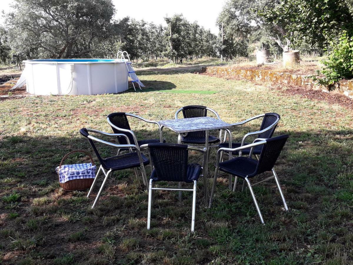 Sendim  Casa Do Feitor - Douro - Quinta Da Cabridaヴィラ エクステリア 写真