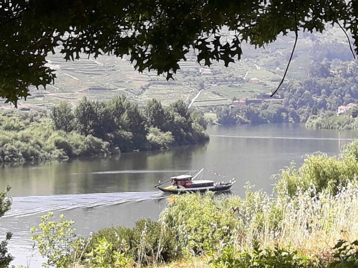Sendim  Casa Do Feitor - Douro - Quinta Da Cabridaヴィラ エクステリア 写真