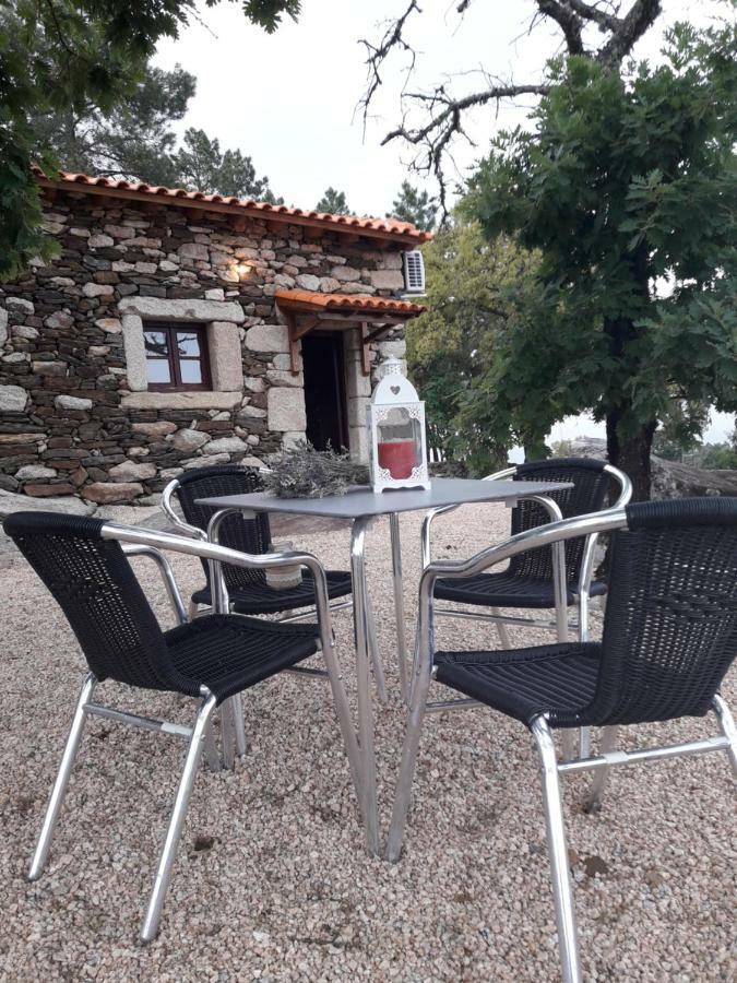 Sendim  Casa Do Feitor - Douro - Quinta Da Cabridaヴィラ エクステリア 写真