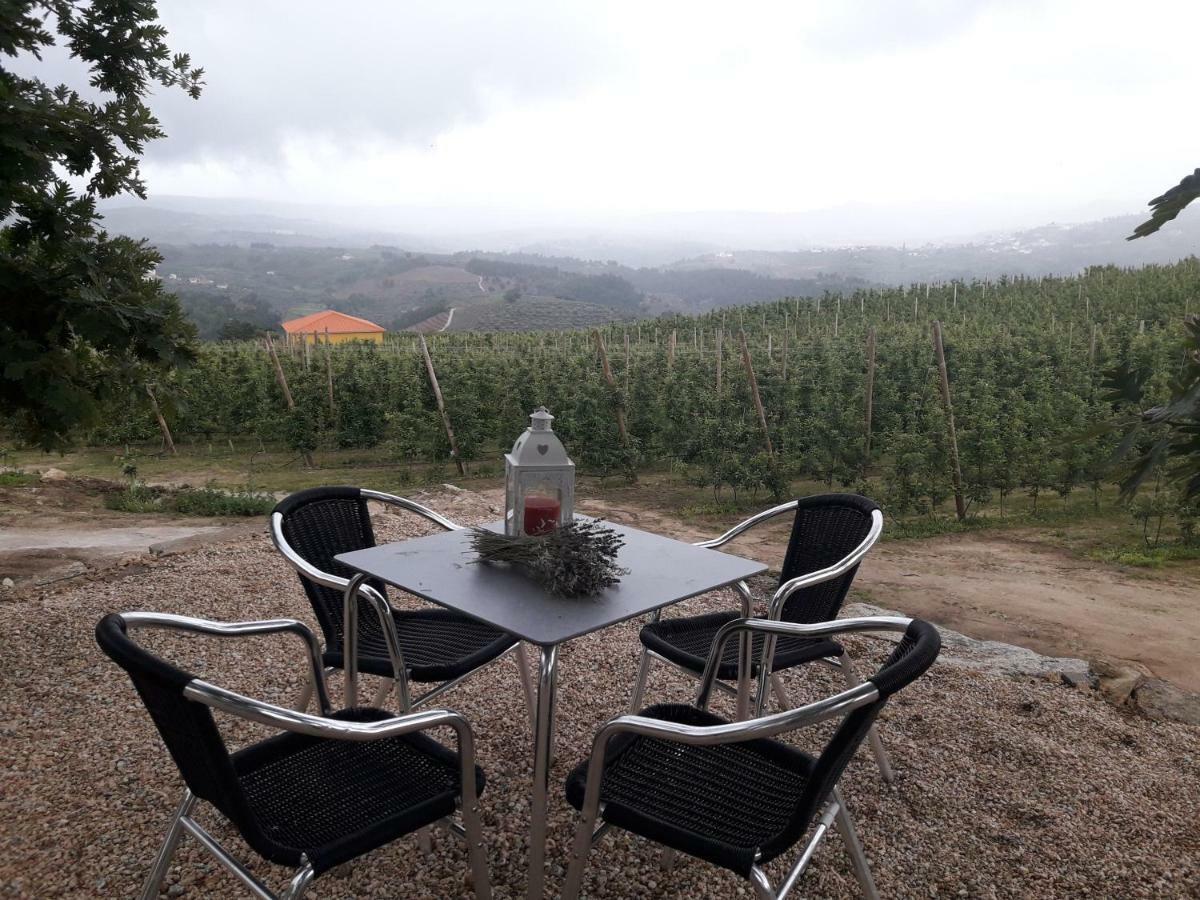 Sendim  Casa Do Feitor - Douro - Quinta Da Cabridaヴィラ エクステリア 写真
