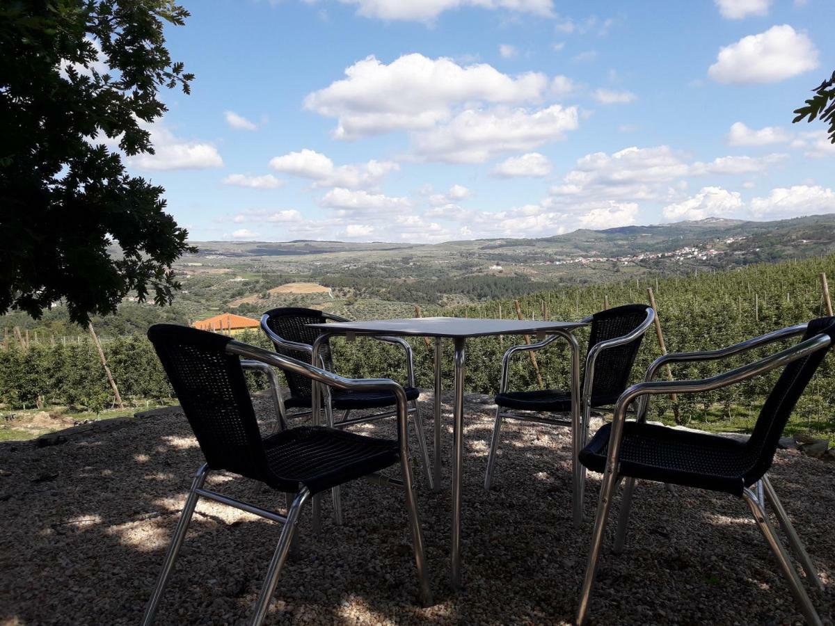 Sendim  Casa Do Feitor - Douro - Quinta Da Cabridaヴィラ エクステリア 写真