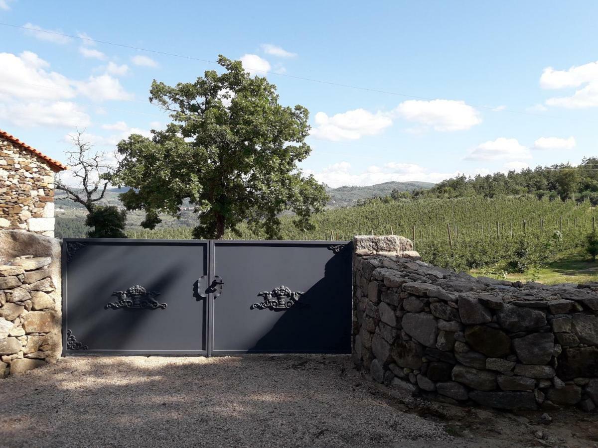 Sendim  Casa Do Feitor - Douro - Quinta Da Cabridaヴィラ エクステリア 写真