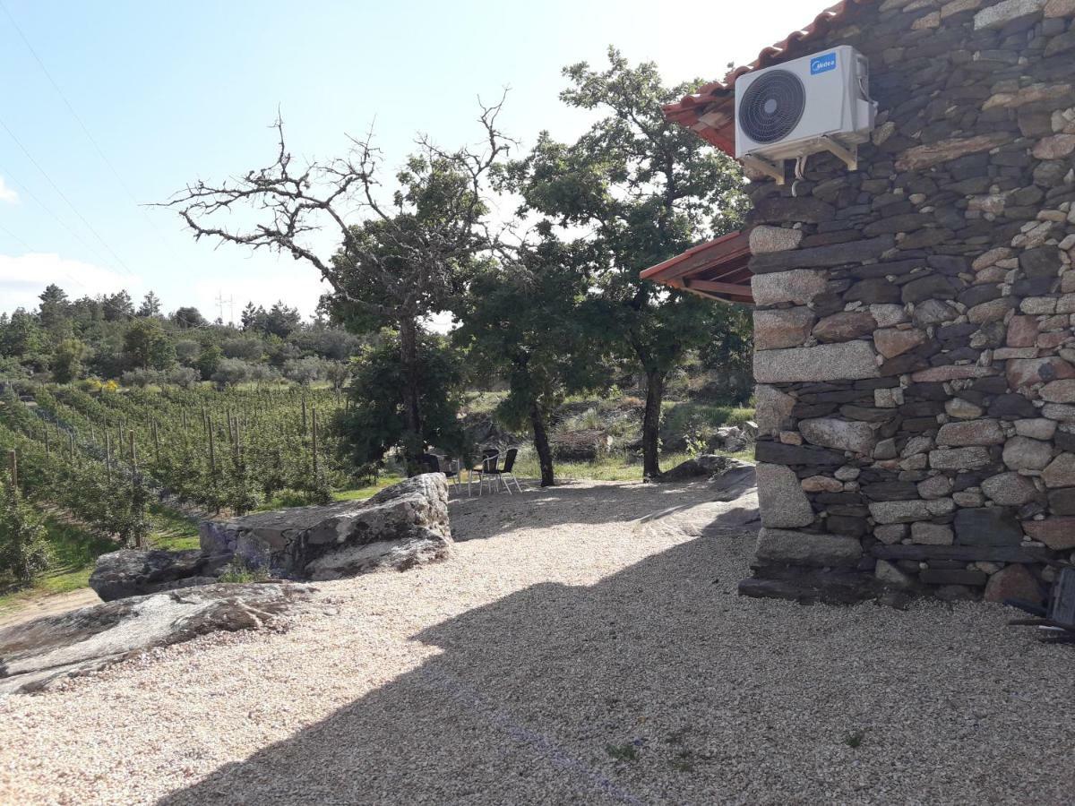 Sendim  Casa Do Feitor - Douro - Quinta Da Cabridaヴィラ エクステリア 写真