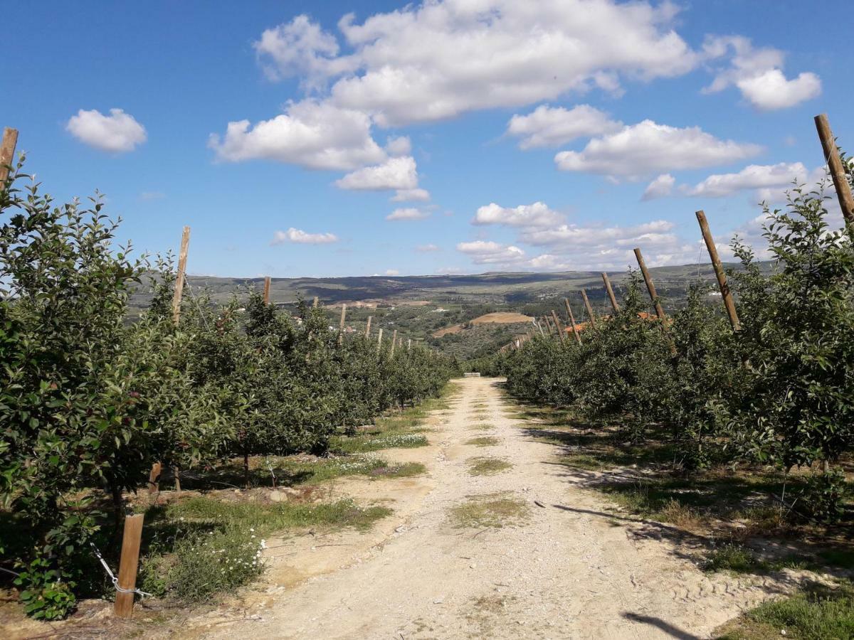Sendim  Casa Do Feitor - Douro - Quinta Da Cabridaヴィラ エクステリア 写真