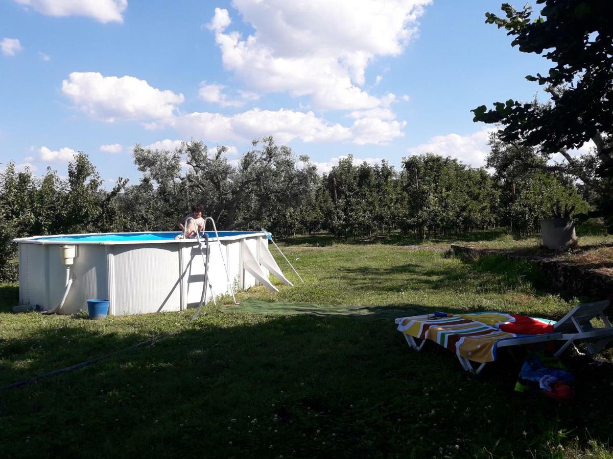 Sendim  Casa Do Feitor - Douro - Quinta Da Cabridaヴィラ エクステリア 写真