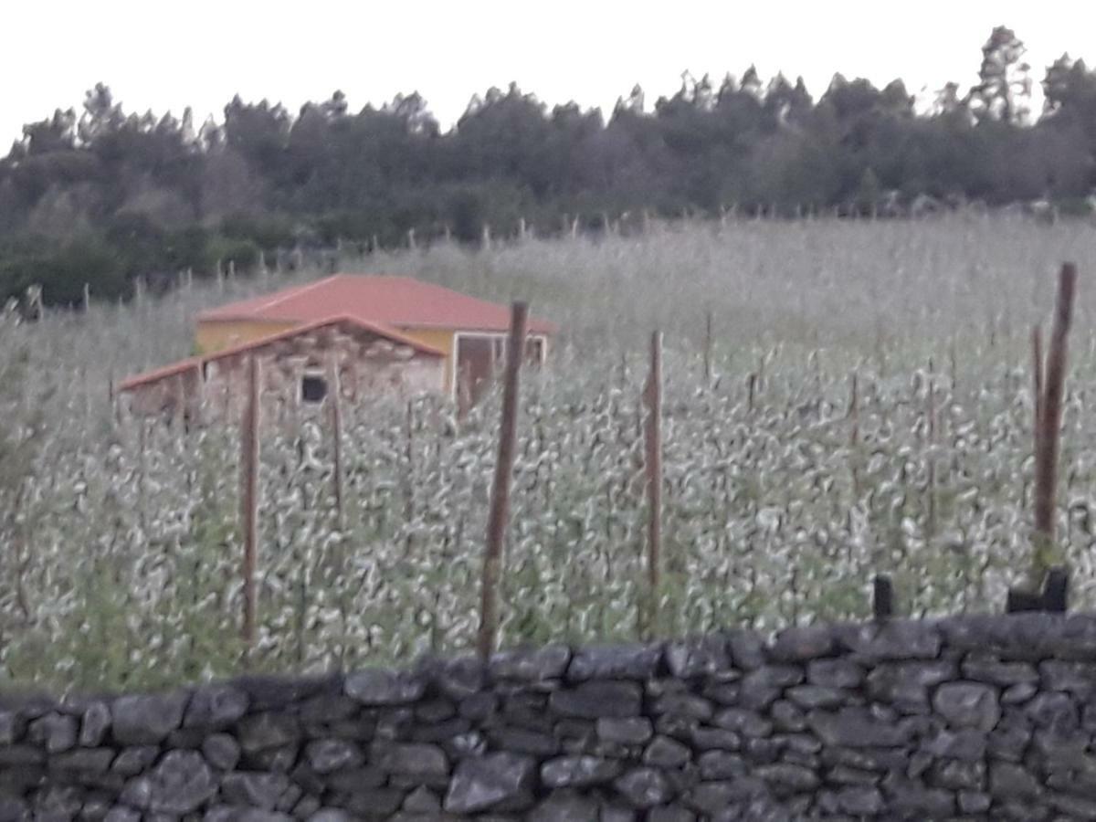 Sendim  Casa Do Feitor - Douro - Quinta Da Cabridaヴィラ エクステリア 写真