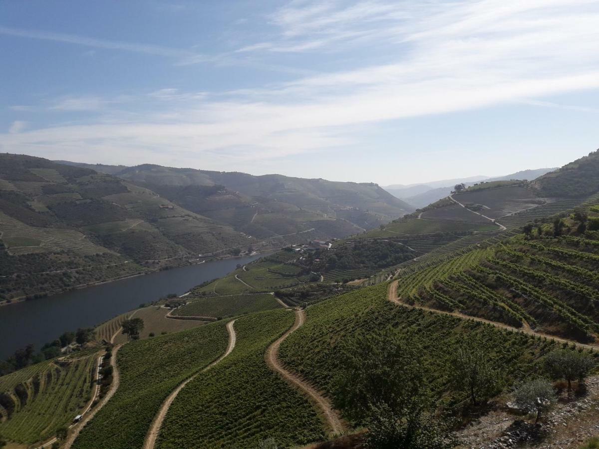 Sendim  Casa Do Feitor - Douro - Quinta Da Cabridaヴィラ エクステリア 写真
