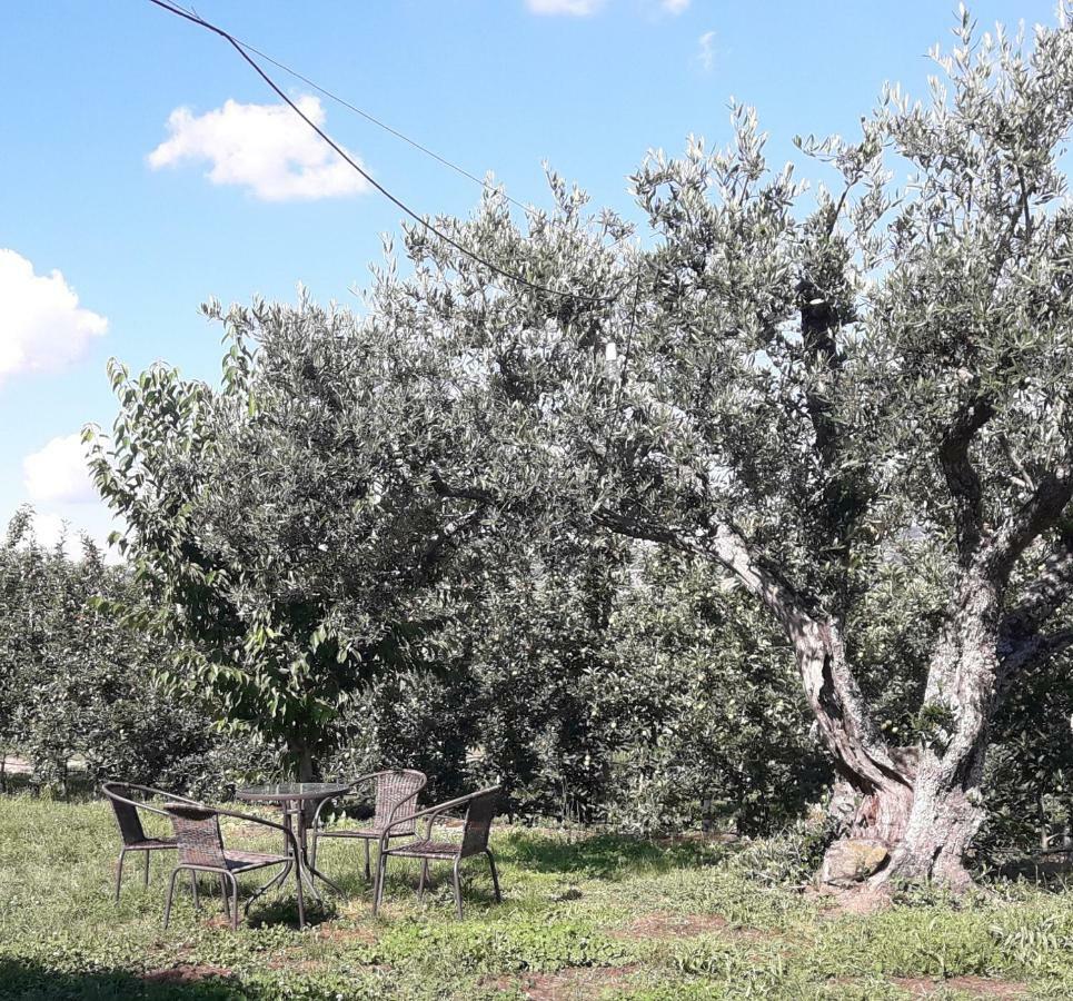 Sendim  Casa Do Feitor - Douro - Quinta Da Cabridaヴィラ エクステリア 写真